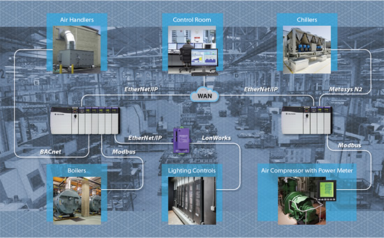 Plant Energy InfoGraphic