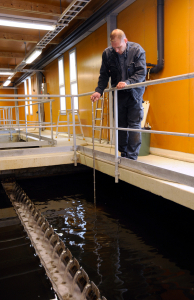 SE Finland Wastewater_Plant1.jpg